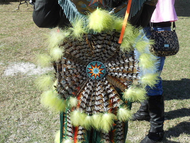 Feathered Indian Photograph by Dotti Hannum - Fine Art America