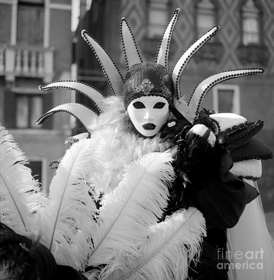 Feathered mask Carnevale veneziano Photograph by Riccardo Mottola