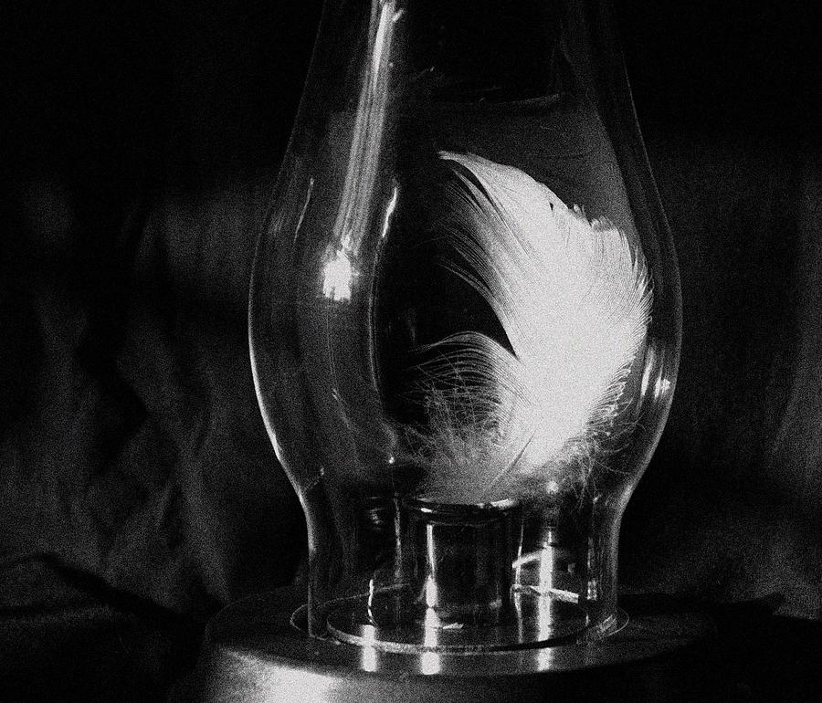 Feathered Still Life Photograph by Bruce Carpenter