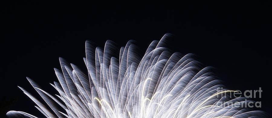 Feathers of Fire Fireworks Photograph by Robert E Alter Reflections of Infinity