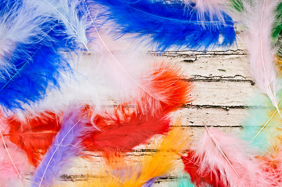 Abstract Photograph - Feathers by Tom Gowanlock