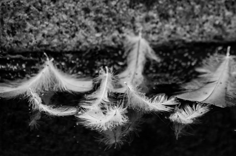 Angels Pass By - monochrome Photograph by Marilyn Wilson