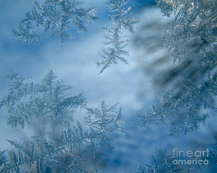 Feathery Hoar Frost Photograph by Jean Wright