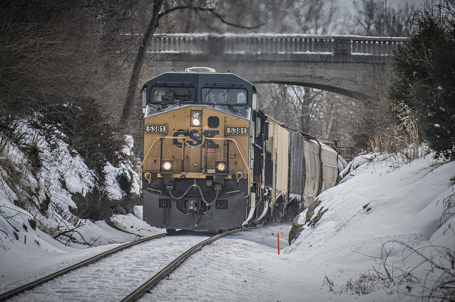 Train Photograph - February 20. 2015 - CSX Q596 by Jim Pearson