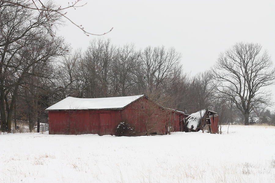 February 2014 Red Barn Photograph by Kathryn Cornett