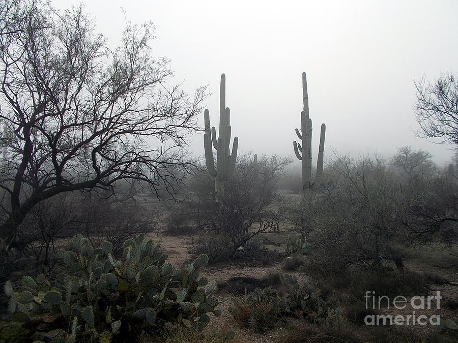 February Fog Photograph by Jerry Bokowski