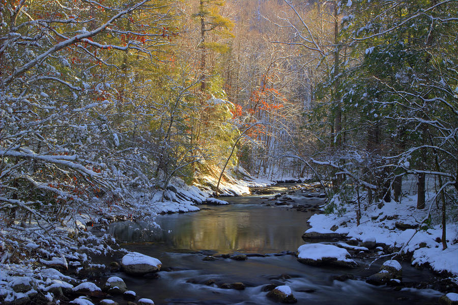 February In The Smokies Photograph by Michael Eingle