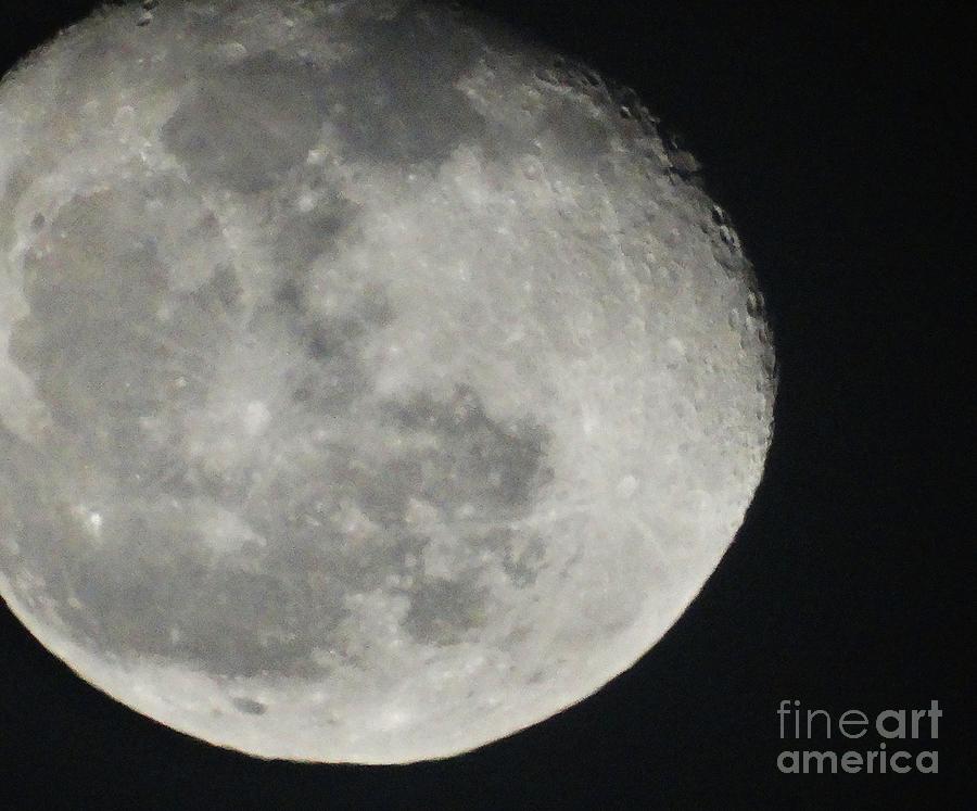 February Moon Photograph by J L Zarek