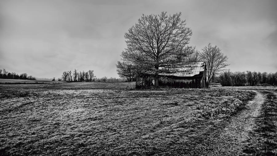February Morning Farm Photograph by Greg Jackson