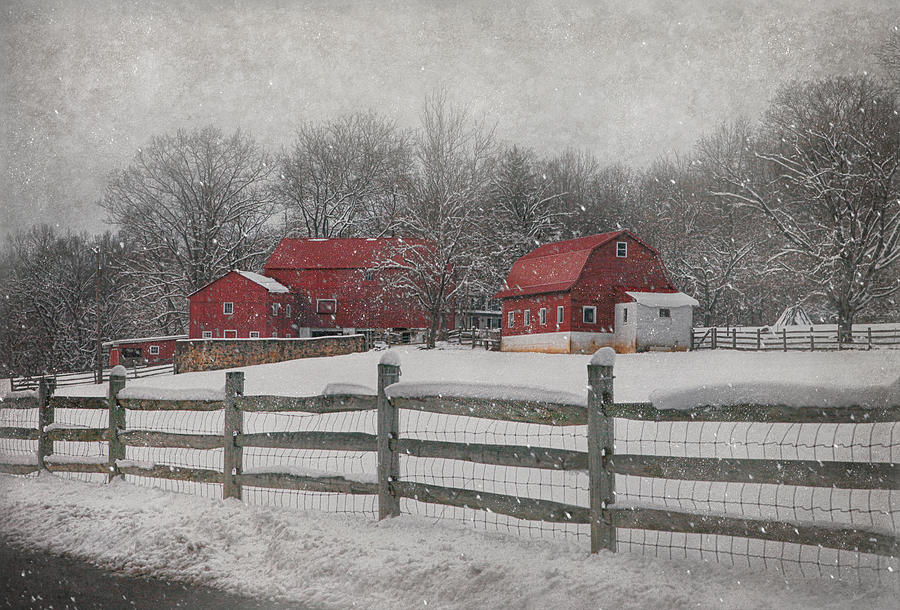 February Snow At Buffalo Hollow Farm Photograph by Pat Abbott