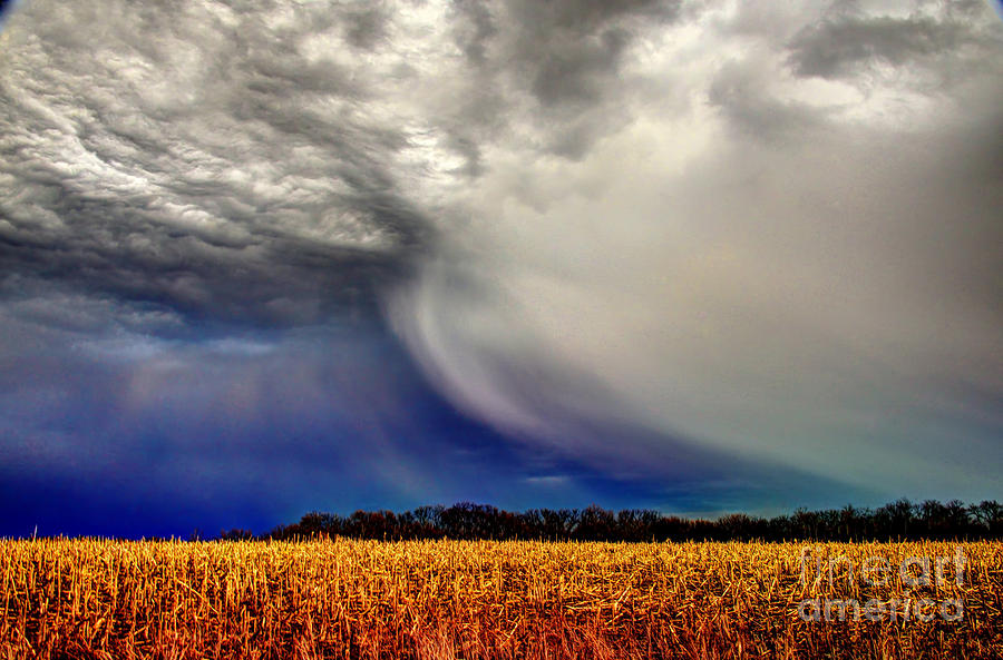 February Storm on the Plains Photograph by Jean Hutchison