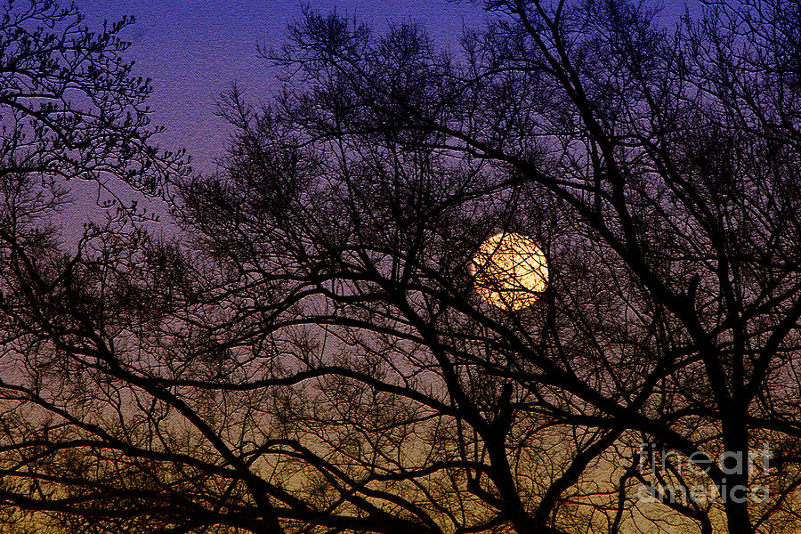 Februarys Moon from the Hilton Pier Photograph by Ola Allen