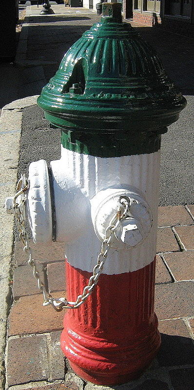 Federal hill Fire Hydrant Photograph by Bruce Carpenter