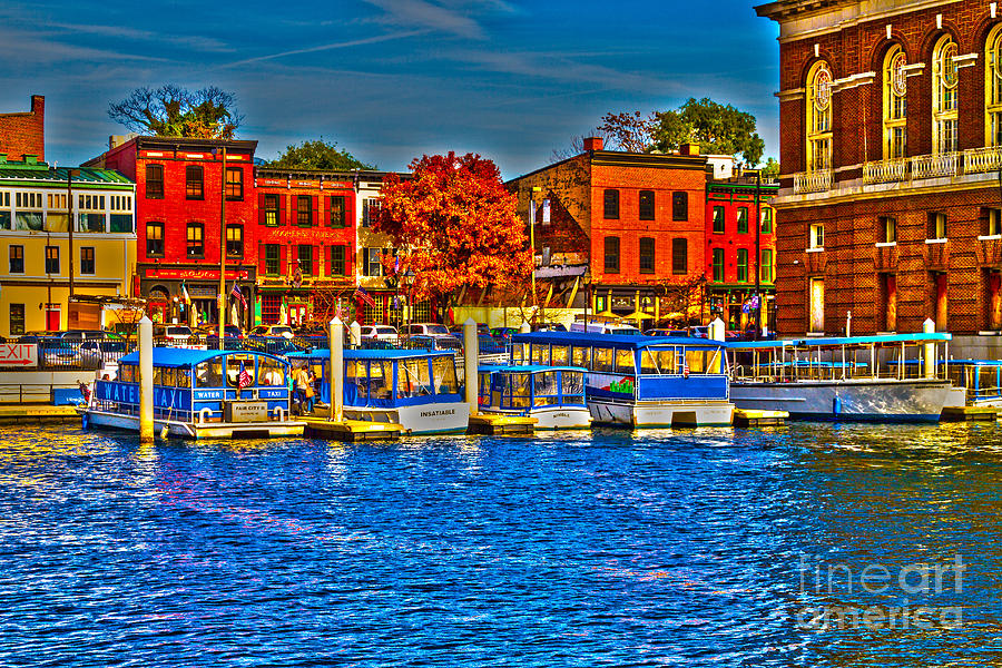 Federal Hill Water Taxi Photograph by William Norton