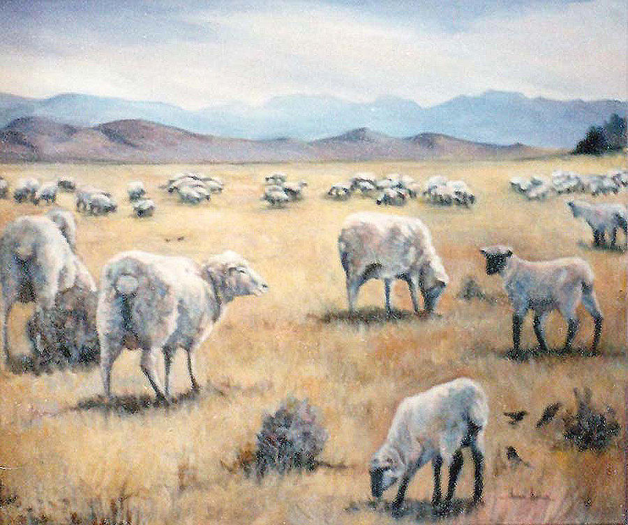 Feed my Sheep Painting by Donna Tucker