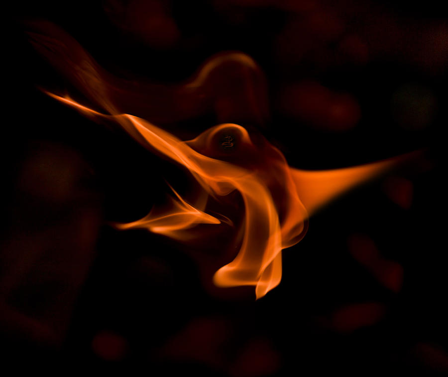 Flame Photograph by Steven Poulton