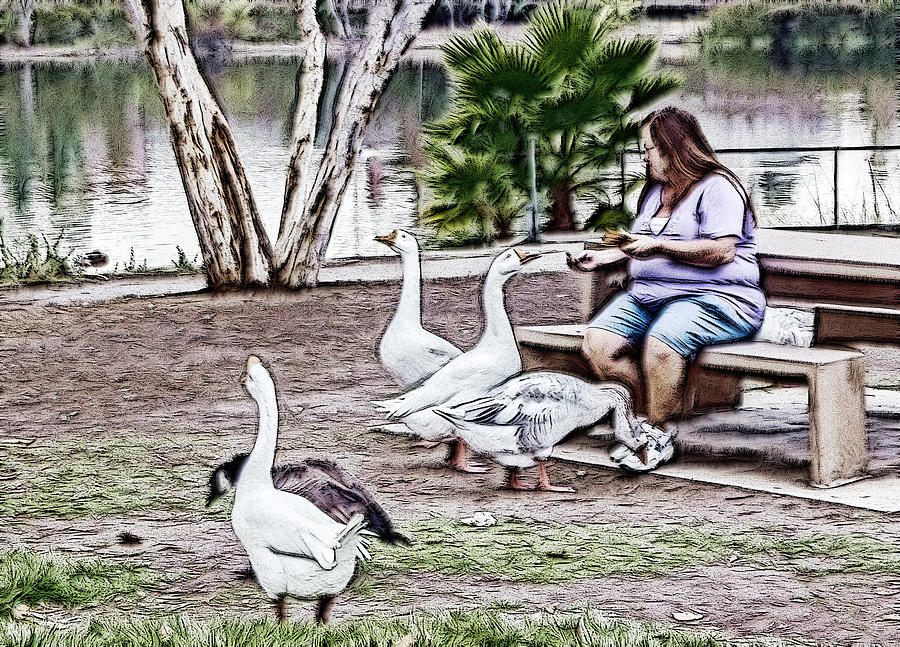 Feeding the Geese Digital Art by Photographic Art by Russel Ray Photos