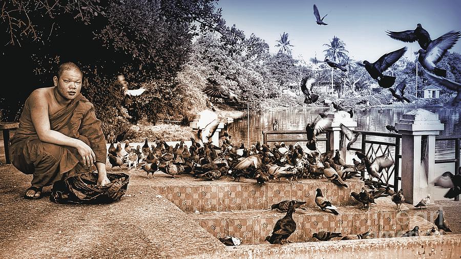 Feeding The Pigeons  Photograph by Ian Gledhill