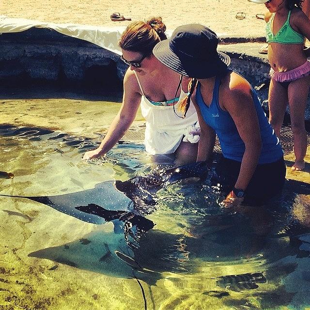 Feeding The Stingrays By The Pool With Photograph by Melissa Mathews