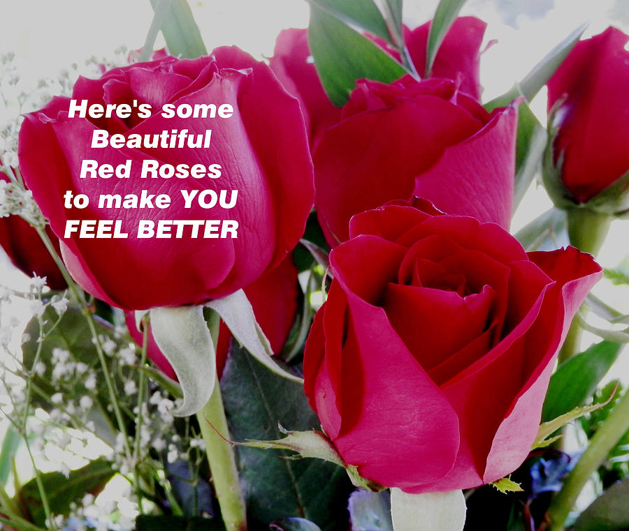 Feel Better Red Roses Photograph by Belinda Lee