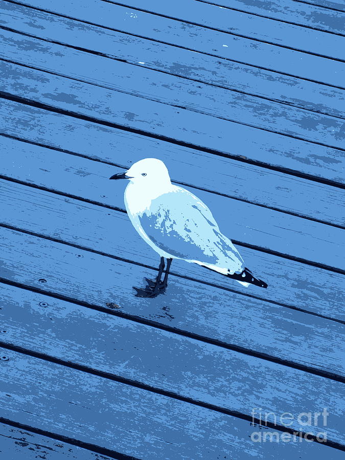 Feeling blue like a lonely seagull Photograph by Roberto Gagliardi