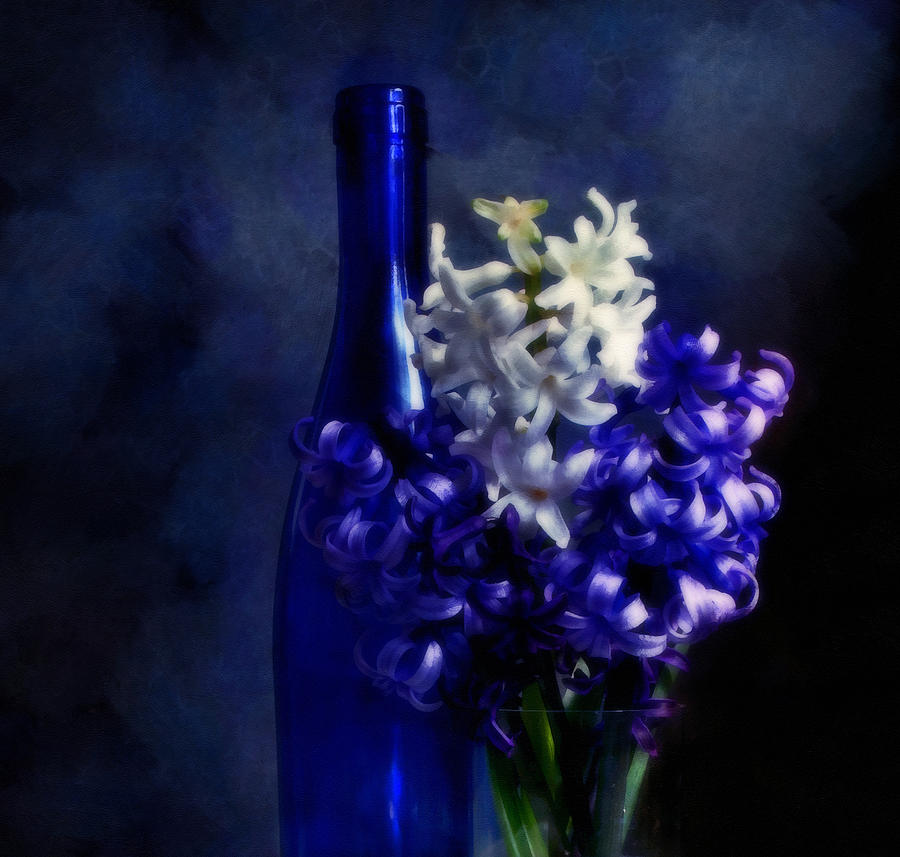 Flower Photograph - Feeling Blue by Georgiana Romanovna