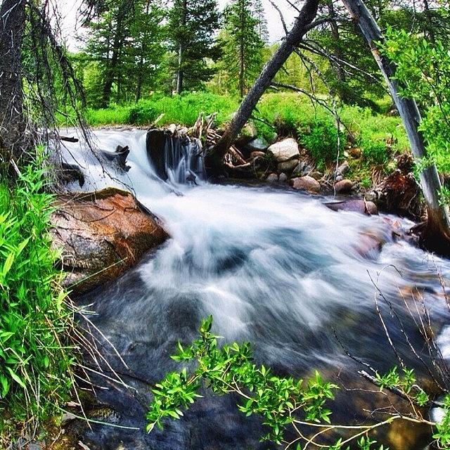 Nature Photograph - Feeling That #flow #exploring #wild by Cody Haskell