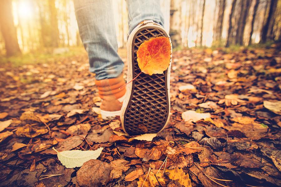 Feet sneakers walking on fall leaves Outdoor Autumn season Photograph by Everste