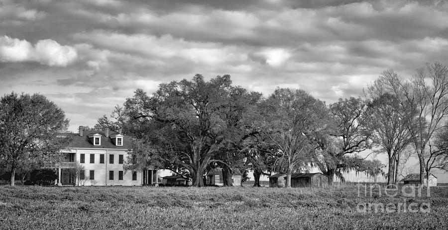 Felicity Plantation Louisiana-bw Photograph by Kathleen K Parker