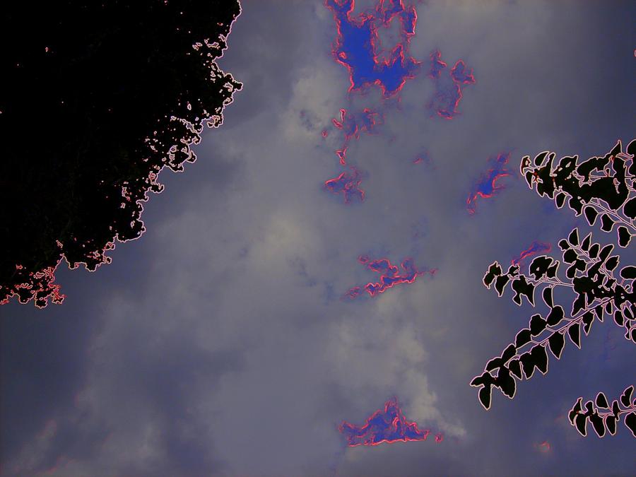 Feline sky Digital Art by Gregory Anthony Stone