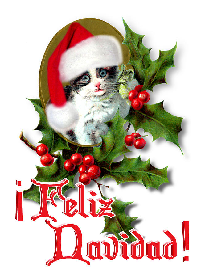 Christmas Digital Art - Feliz Navidad - Kitten by Gravityx9  Designs
