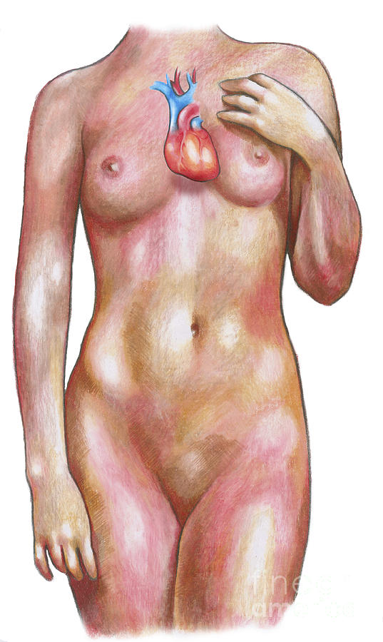 Female Body With Heart Photograph by Gwen Shockey