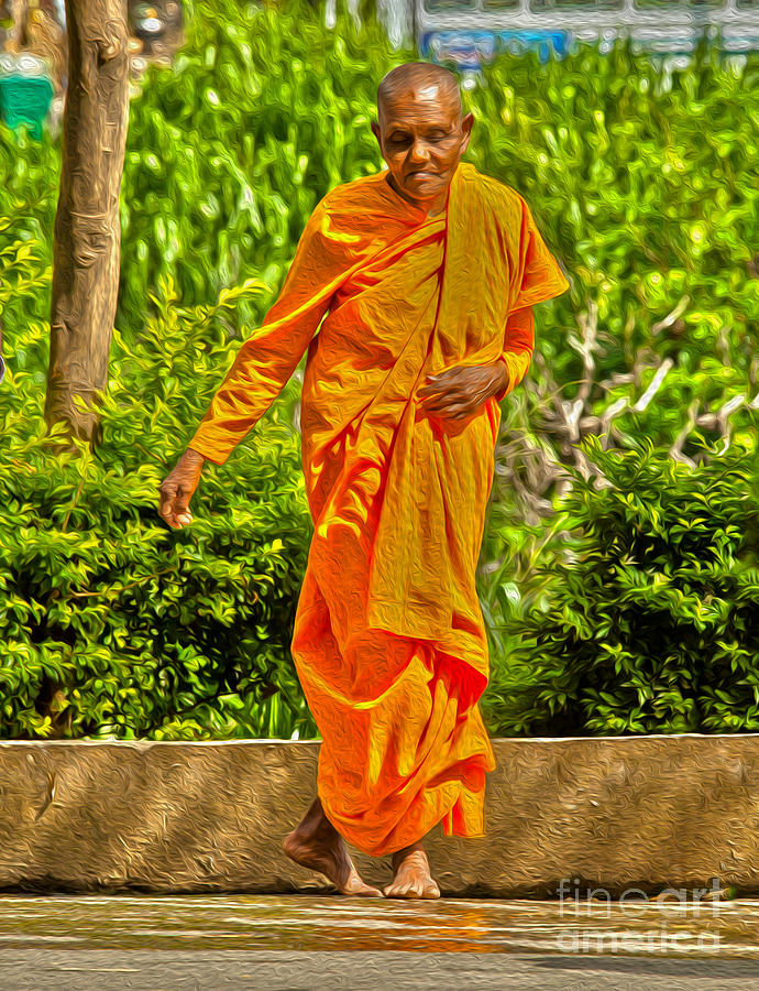 Female Buddhist Monk  Photograph by Patricia Hofmeester