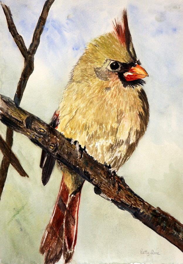 Female Cardinal Painting by Betty-Anne McDonald