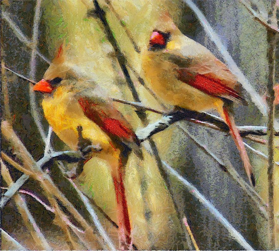 Female Cardinals Digital Art by Carrie OBrien Sibley