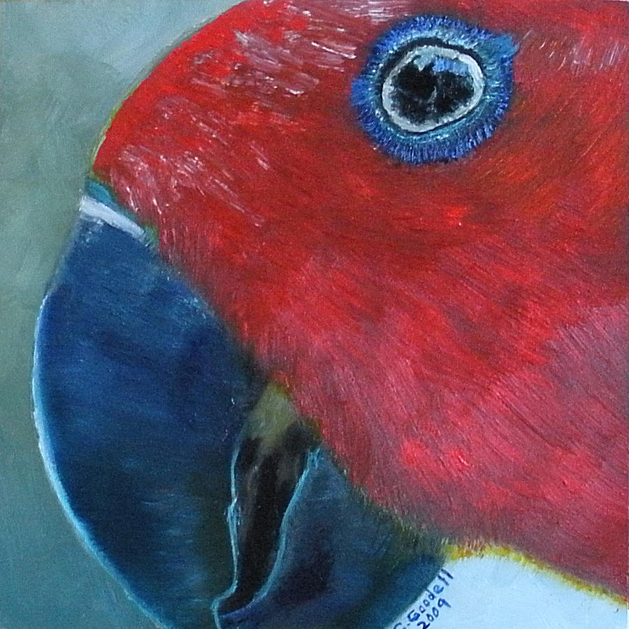 Female Eclectus Painting by Claudia Goodell
