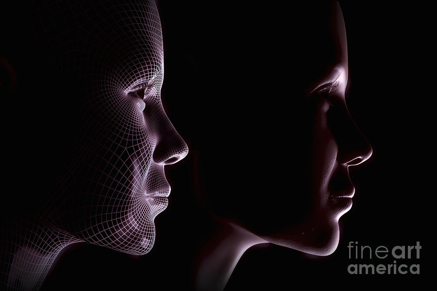 Female Face With Wireframe Photograph by Science Picture Co
