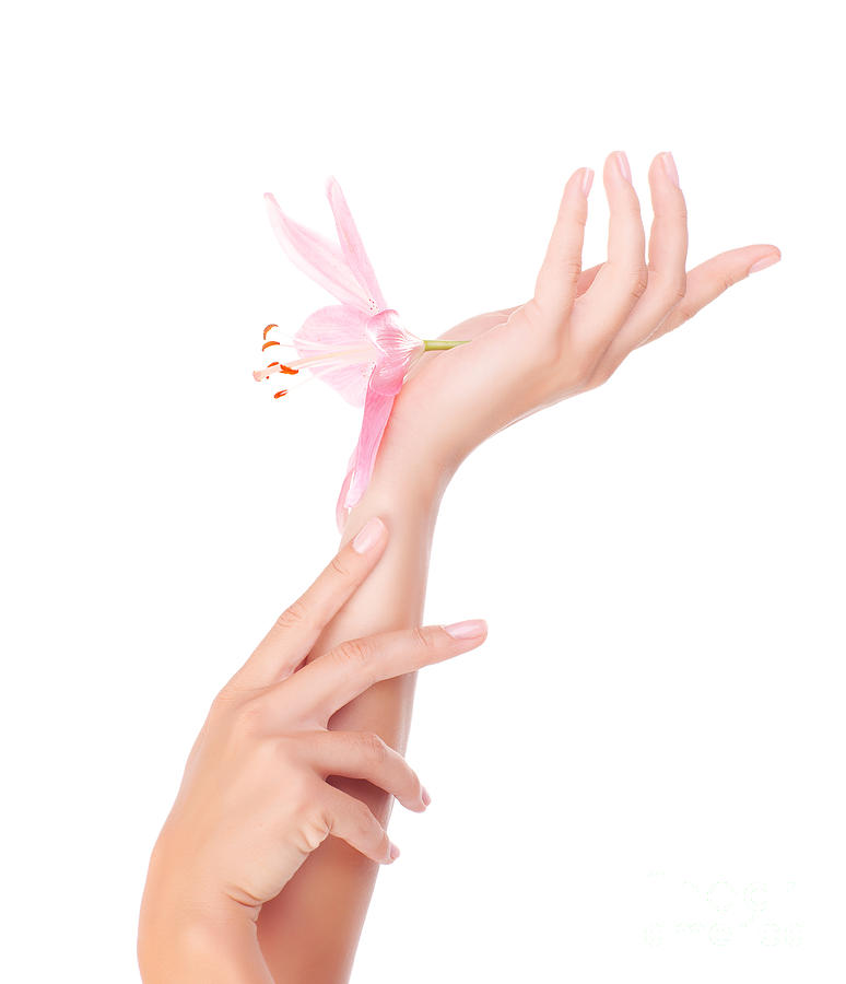 Female hands with lily flower Photograph by Anna Om