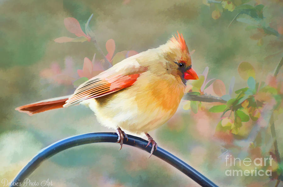 Female Northern Cardinal - Digital Paint #1 Photograph by Debbie Portwood