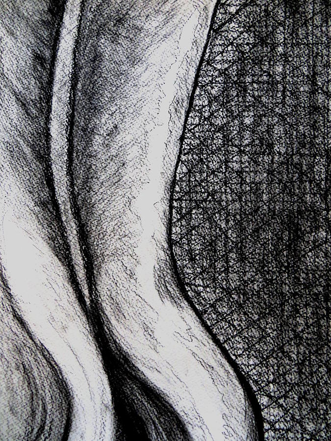 Female Nude The Backside Drawing by Daniel Dubinsky