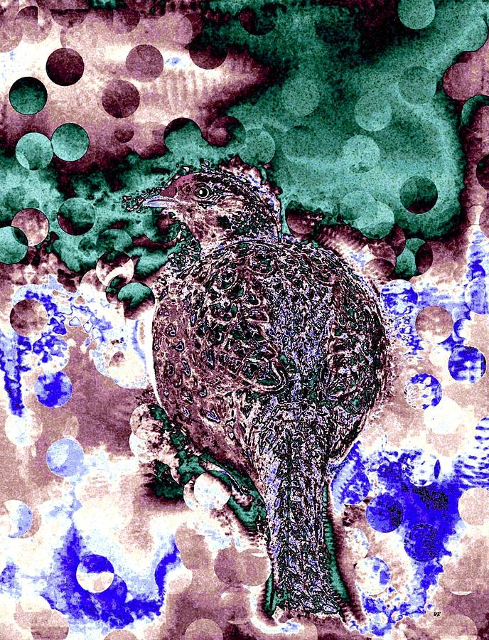 Wildlife Digital Art - Female Pheasant Abstract by Will Borden