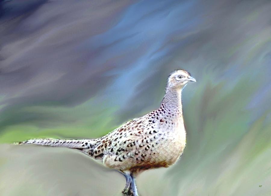 Wildlife Digital Art - Female Pheasant by Will Borden