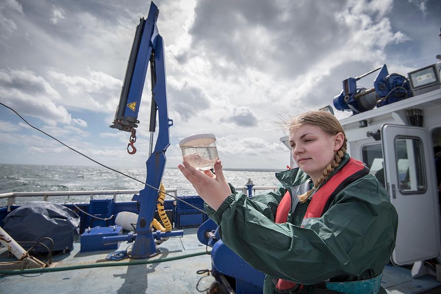 Female scientist inspecting sample of plankton on research ship Photograph by Monty Rakusen