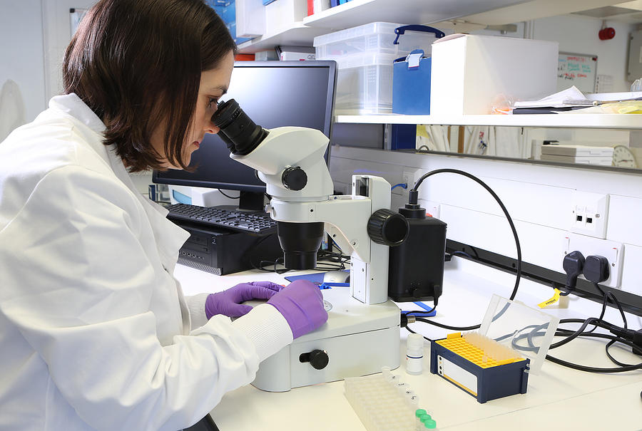 Female Scientist Looking At Breast Tumour Sample Photograph by Nicola Tree