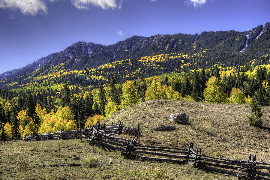 Fence and Fall Colors Photograph by David Waldrop