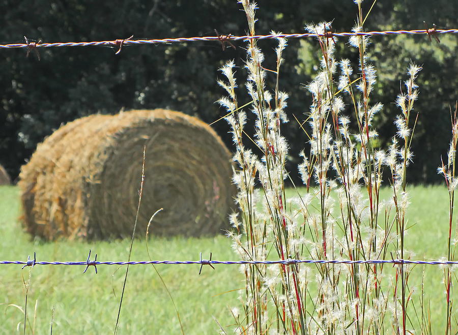 Farm Photograph - Fence and Hay Bale by Cathy Lindsey