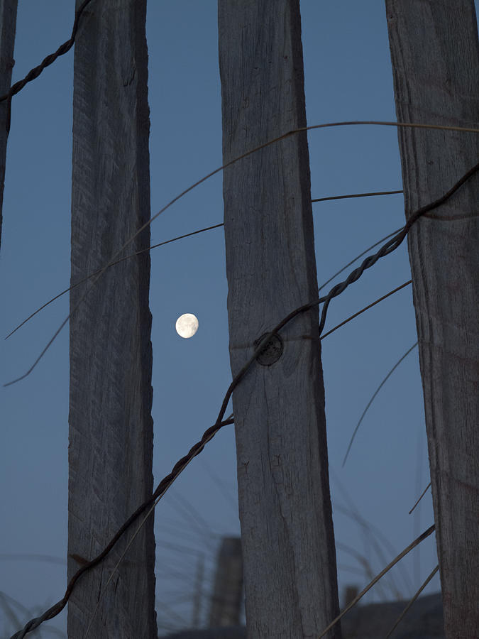 Fence and Moon Photograph by Steve Gravano