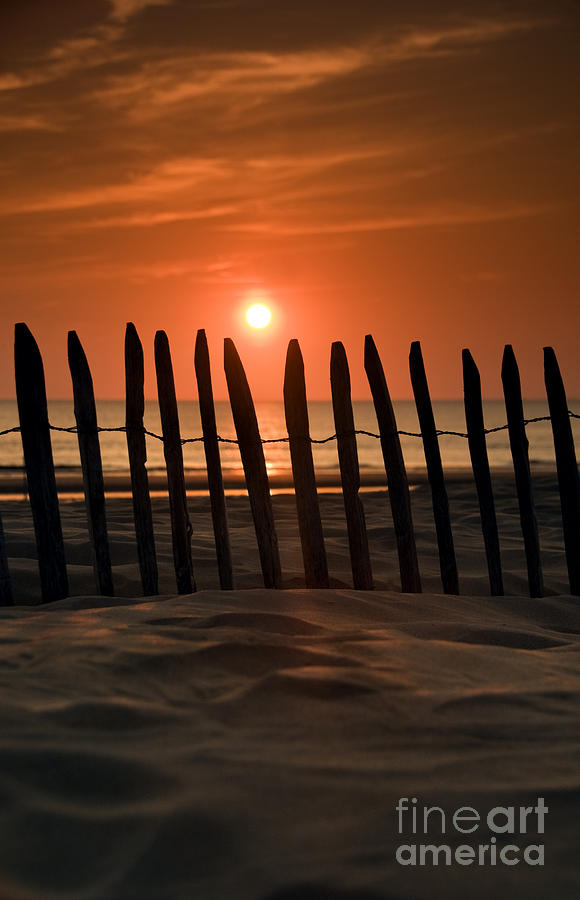 Fence at Sunset Photograph by David Lichtneker