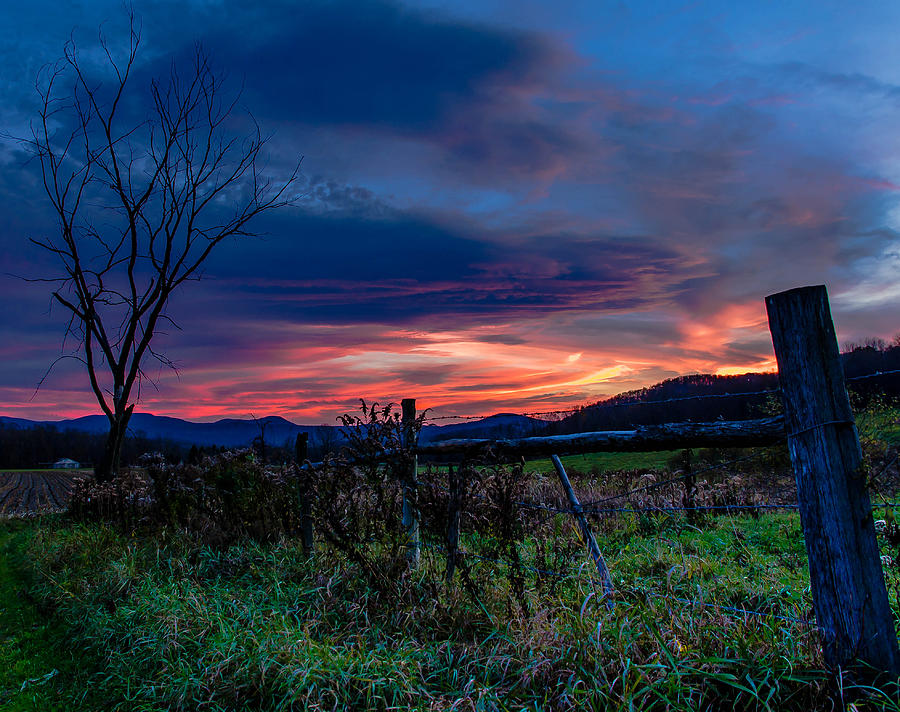 Fence at sunset Photograph by Eli Adams - Pixels