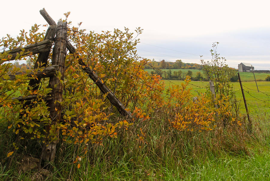 Fence Corner in Autumn Photograph by Jim Vance